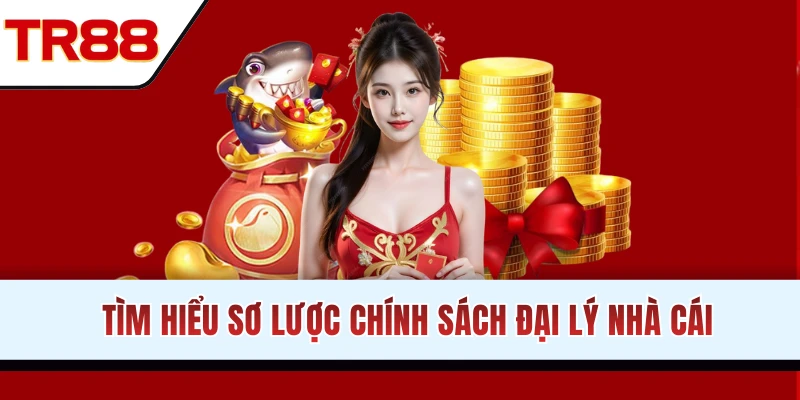 Giới thiệu chính sách đại lý nền tảng
