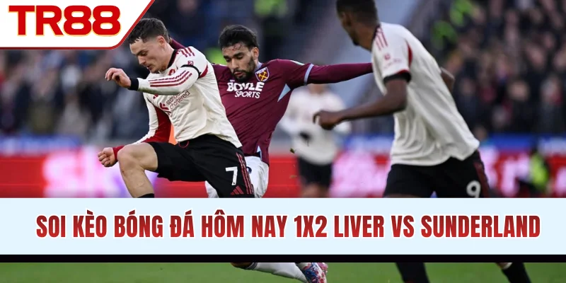 Soi kèo bóng đá hôm nay 1X2 Liver vs Sunderland